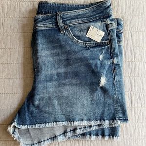 Denim Jean Shorts